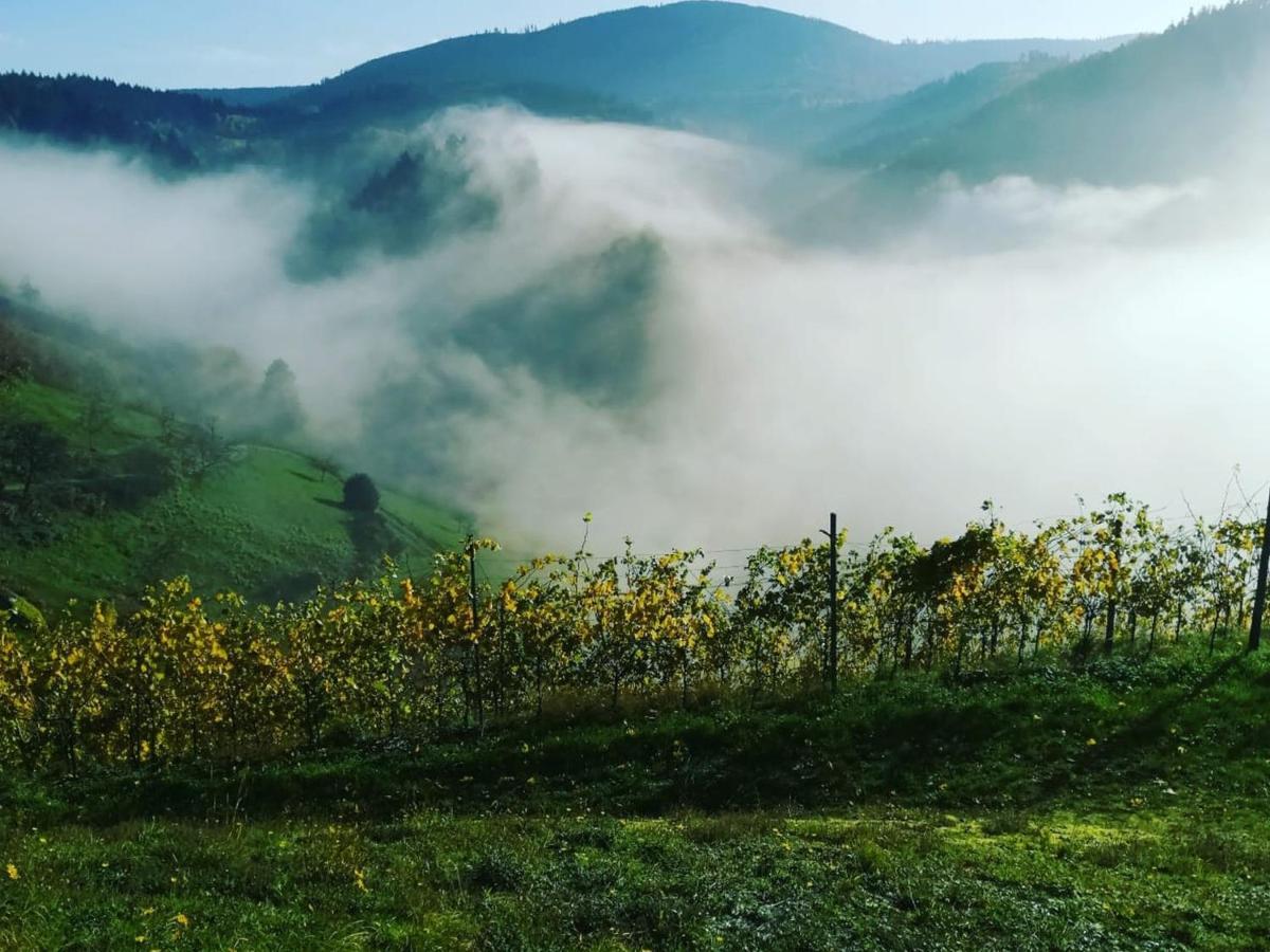 Ferienwohnungen Giedensbach โอเบอร์เคียร์ช ภายนอก รูปภาพ